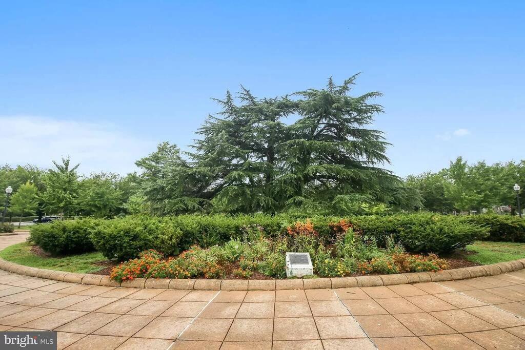 Private With Private Bathroom Centrally Located Washington